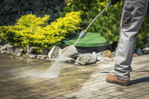 Best Sidewalk and Walkway Cleaning  in Geneva, IL