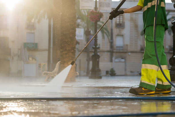 Best Sidewalk and Walkway Cleaning  in Geneva, IL